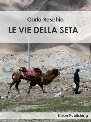 cover image of Le vie della seta
